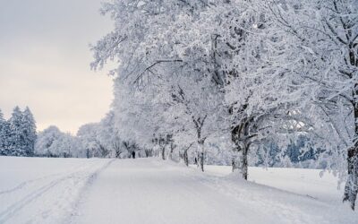 Winterträume